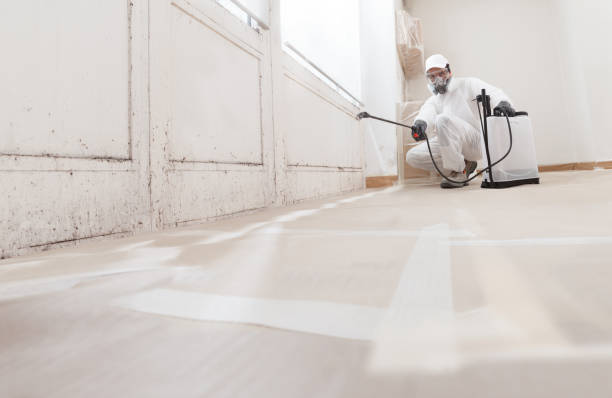 24/7 Emergency Black Mold Remediation experts in Brogue, PA